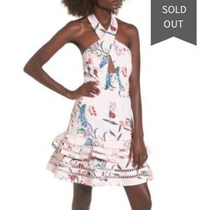 Keepsake Indulge Halter Floral Dress Sz 6 NWT